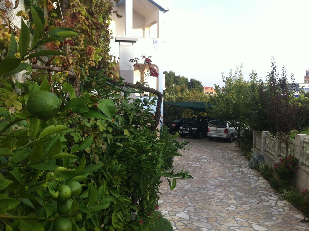 Ana Guest house 3*
